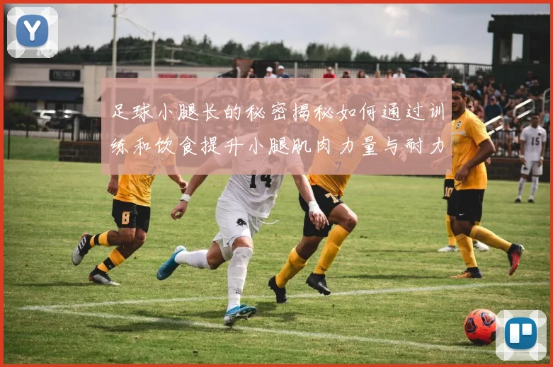 足球小腿长的秘密揭秘如何通过训练和饮食提升小腿肌肉力量与耐力
