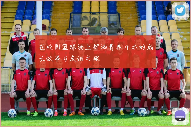 在校园篮球场上挥洒青春汗水的成长故事与友谊之旅