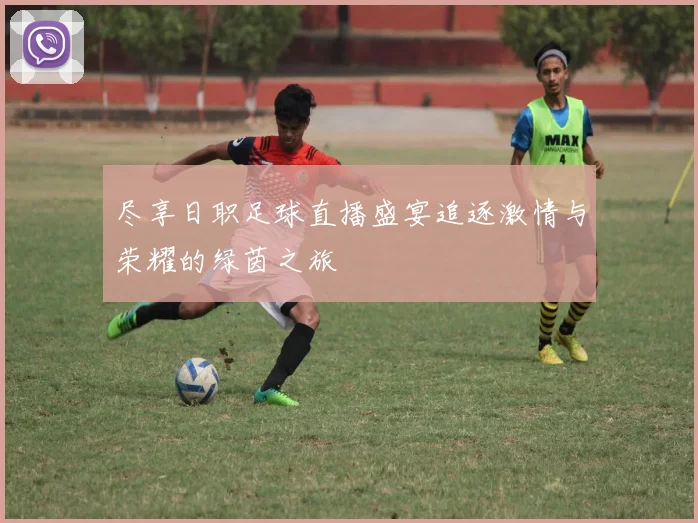 尽享日职足球直播盛宴追逐激情与荣耀的绿茵之旅