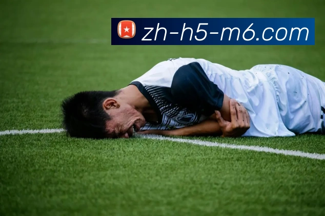 米乐体育平台生态图